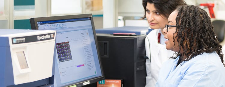 Scientists working in GMP and GLP labs