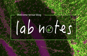 Lab Notes