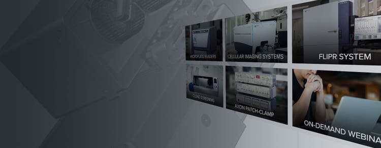 Video Gallery