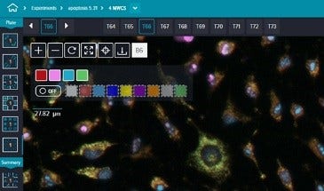 多波长细胞分类功能，多波长细胞分类采用最多四种荧光染料