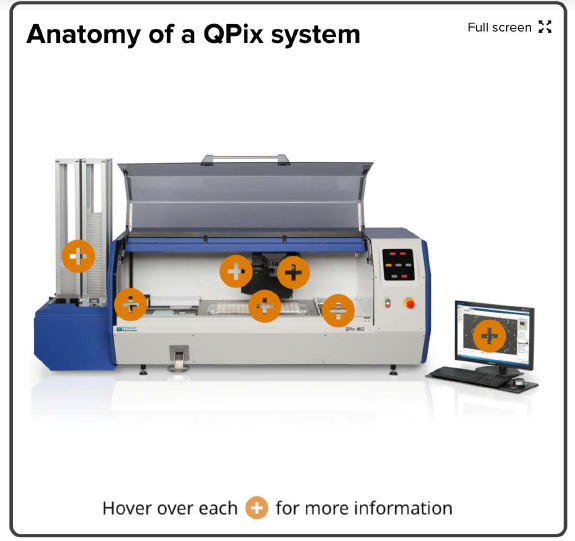 QPix 系统剖析