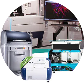 Molecular Devices 自动化 3D 细胞培养平台