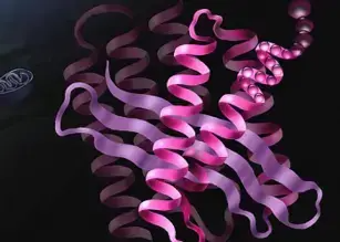 蛋白检测、定量和分析