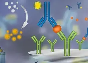 酶联免疫吸附实验 (ELISA)