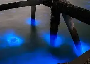 发光