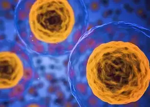 细胞健康状况:活性、增殖、细胞毒性和细胞功能