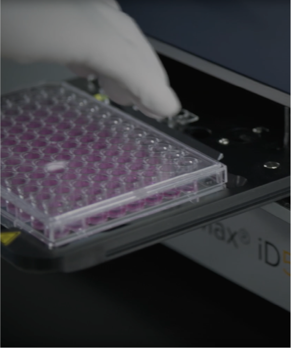 科学家在进行他们的研究