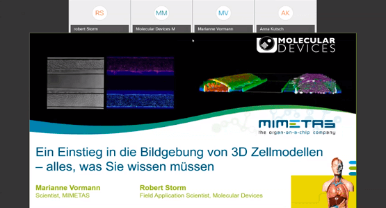 Ein Einstieg in die Bildgebung webinar